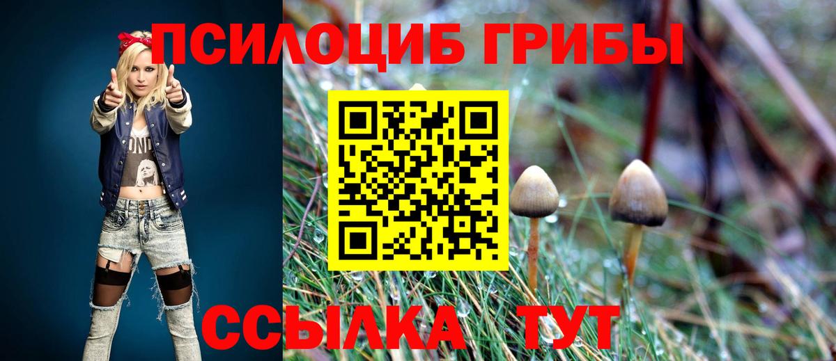 Псилоцибиновые грибы Cubensis  Вход с VPN  Грязи 